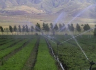 Impulse sprinkler series for cornfield in Shandong Province